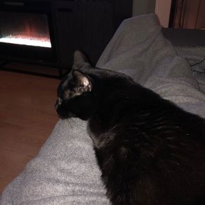 Meet your Posher, Catherine